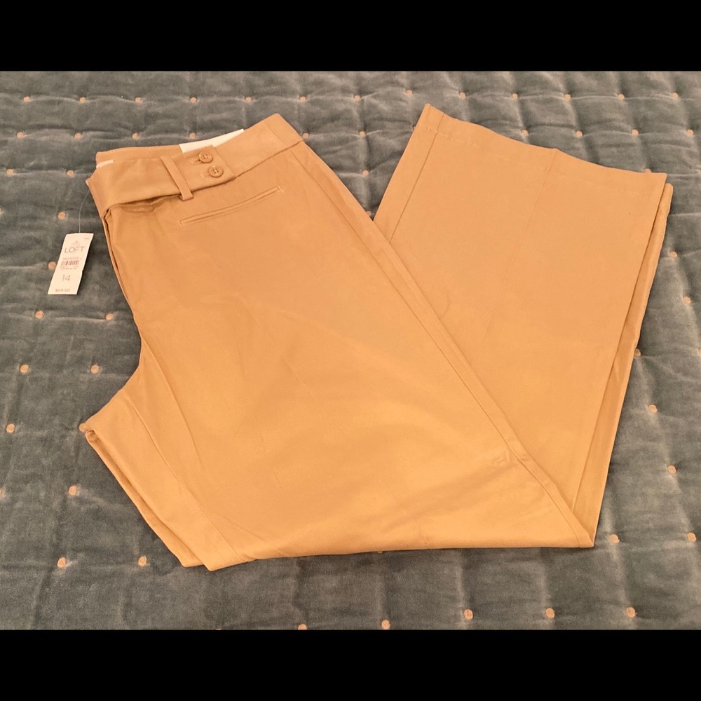 Nwts size 14 Loft curvy trouser